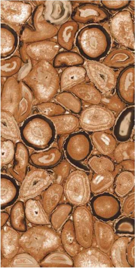 Oyster Brown