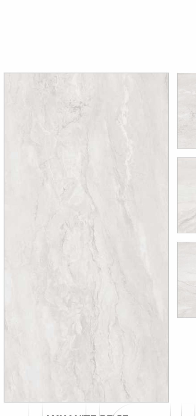 Ammonite Beige