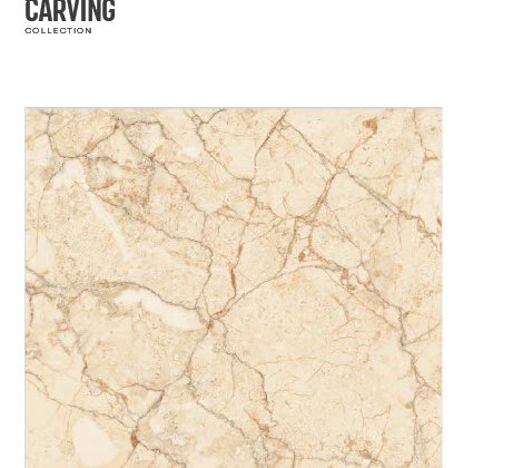 Floor 0067