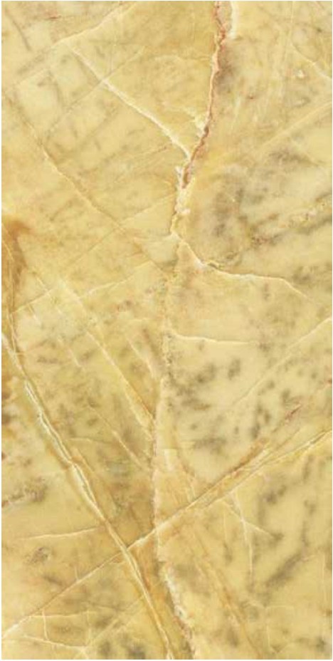 Novella Mustard