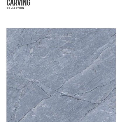Floor 0079