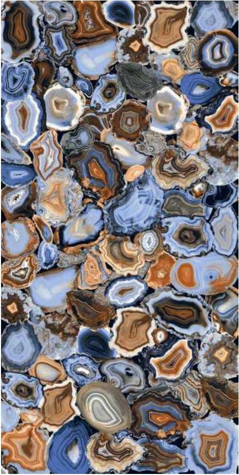 Oyster Multi