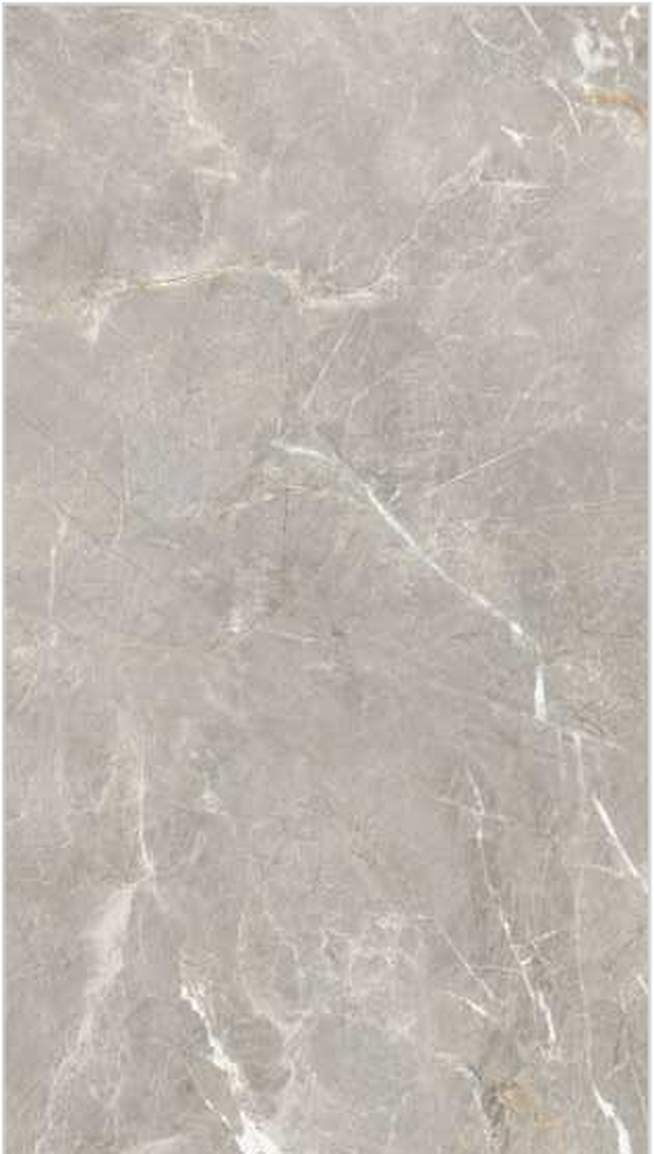 Fossil Crema