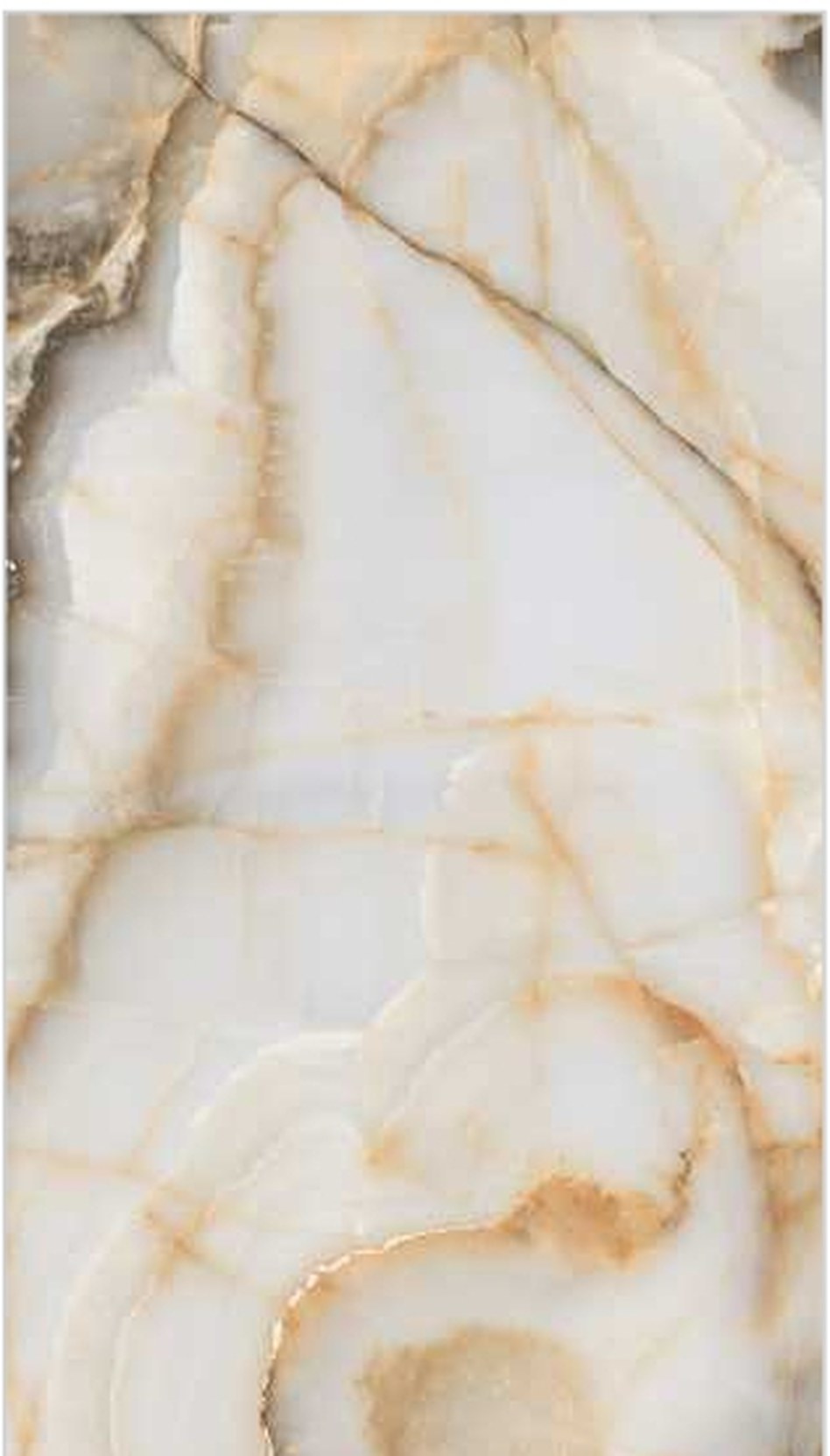 Aoquiarilis Onyxy Whitf